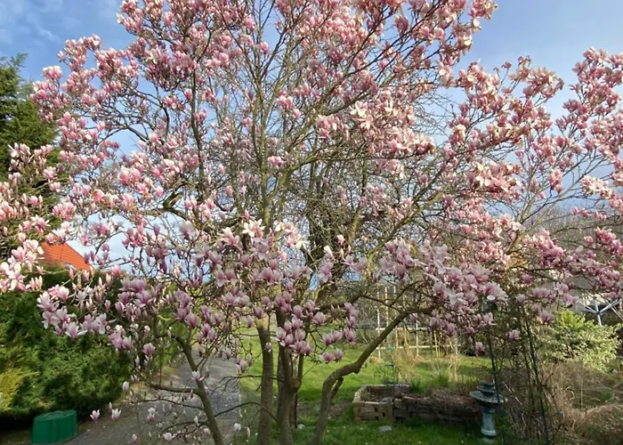 Am Wald - Leipzig Land Whirlpool & Infrarotkabine Brandis