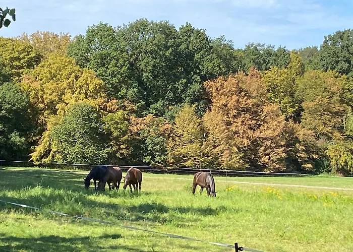 Am Wald - Leipzig Land Whirlpool & Infrarotkabine * Brandis